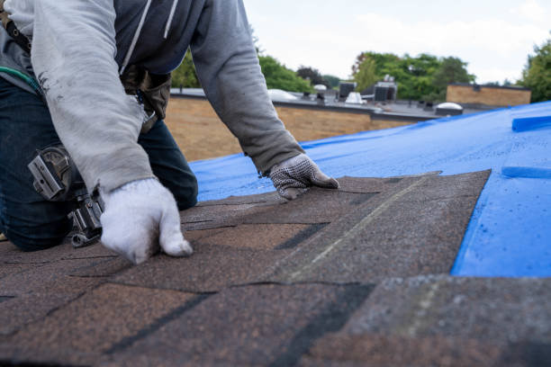 Best Roof Leak Repair  in Harlowton, MT